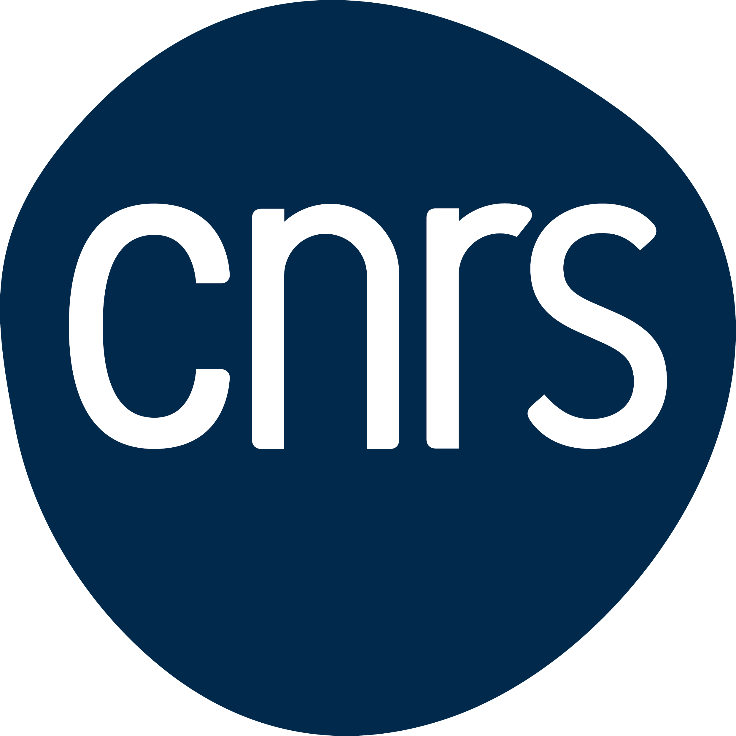 CNRS Logo