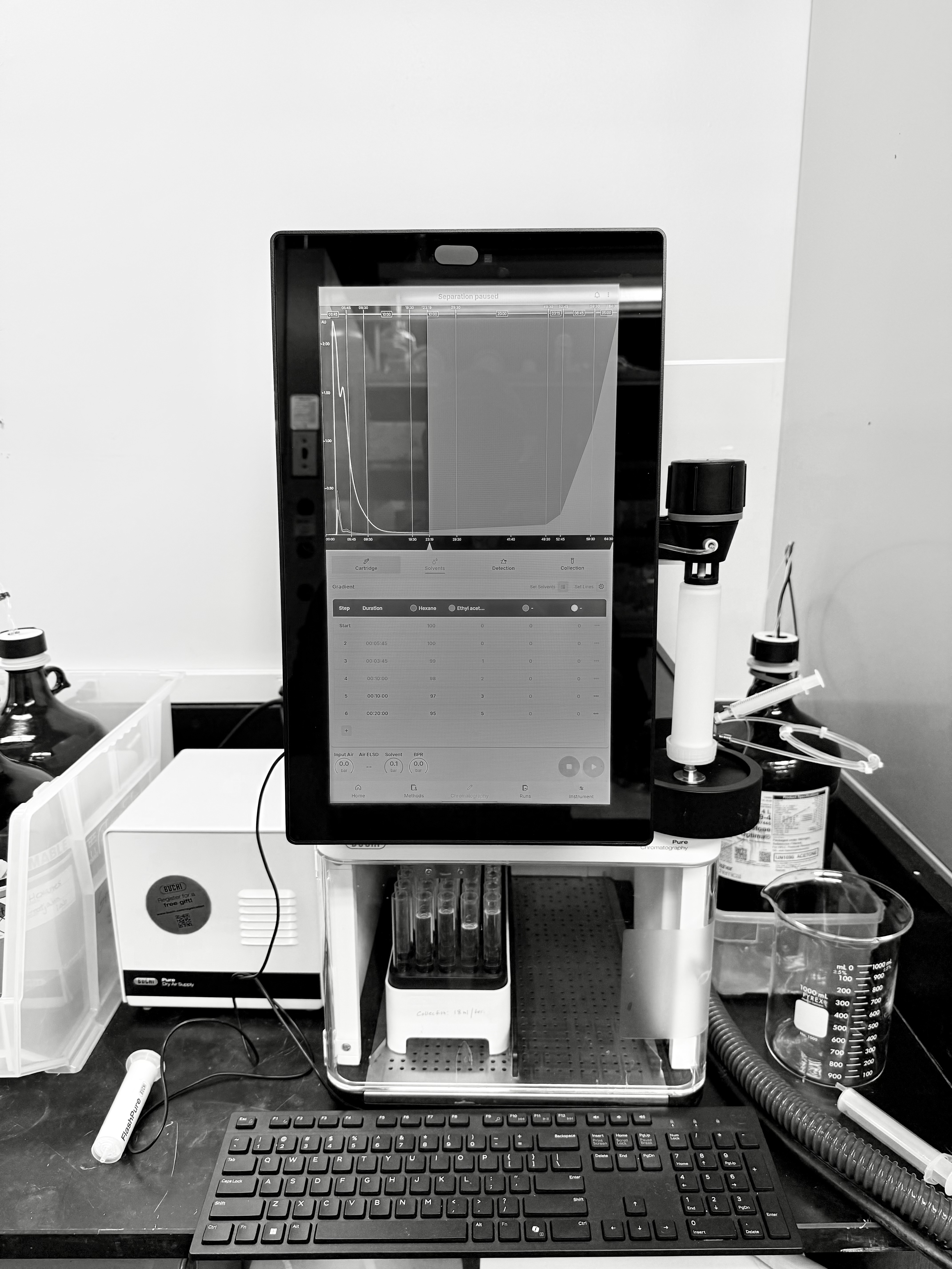 New addition to the lab
