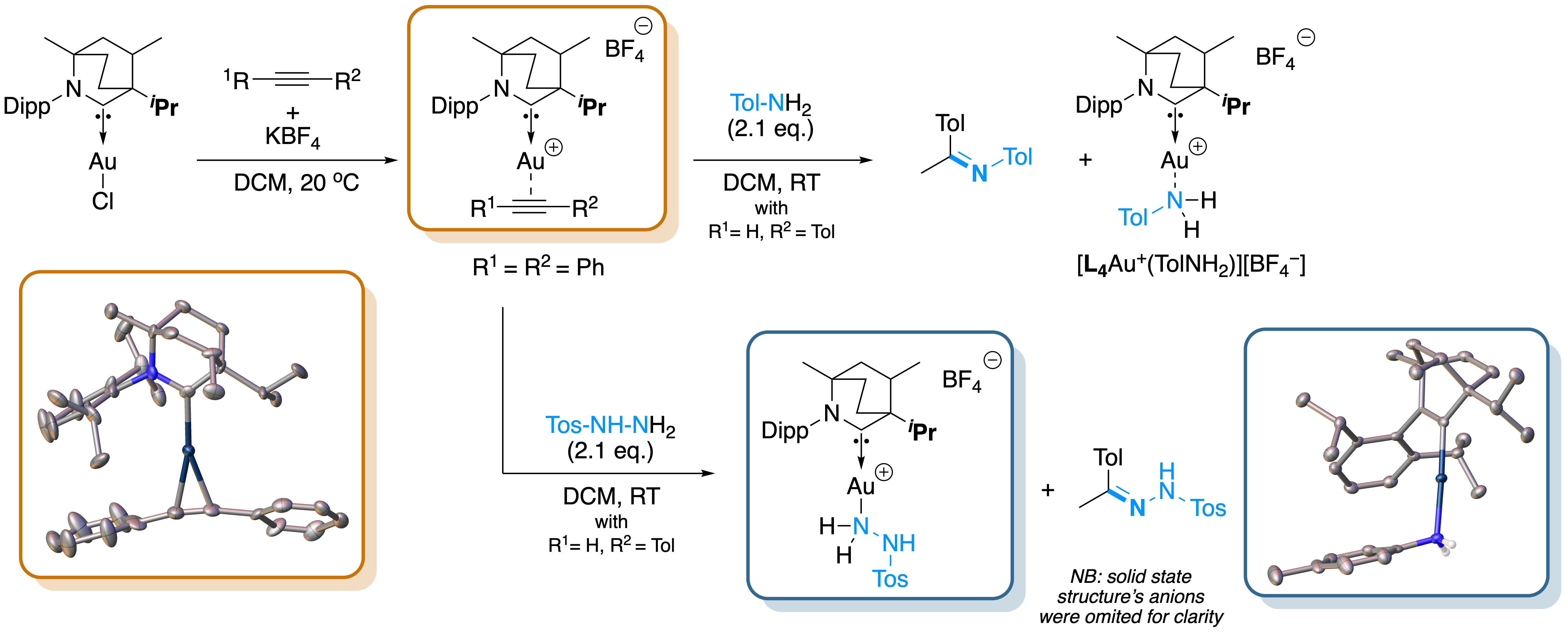 Mechanistic Pathway